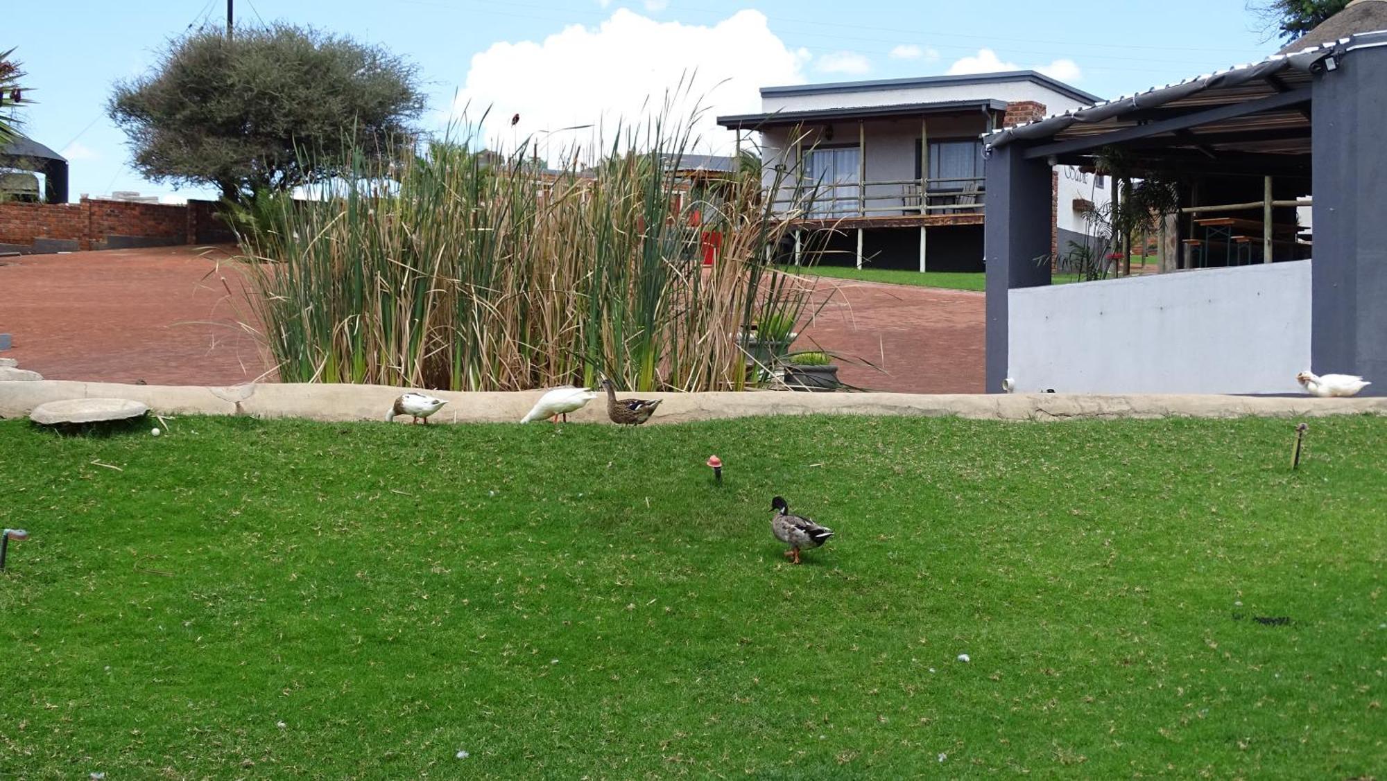 Eden Chalets Windhoek Exteriér fotografie